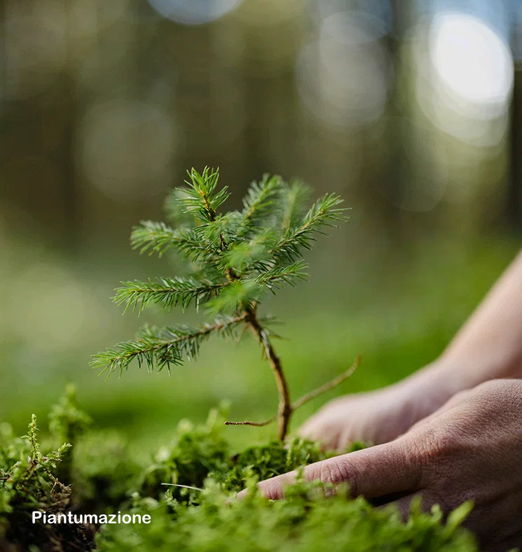  “RIGENERIAMO INSIEME”, LA COMMUNITY DELLA SOSTENIBILITÀ, PER AZIONI CONCRETE A FAVORE DELL’AMBIENTE NELLE MANI DELLE PERSONE