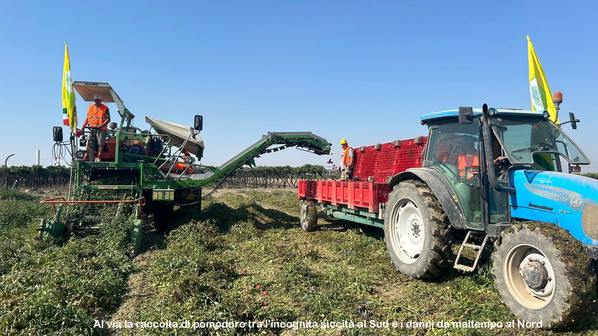 SICCITA’: COLDIRETTI, RACCOLTA “PUMMAROLA” AL VIA TRA INCOGNITA ACQUA E DANNI DA MALTEMPO. Al Nord atteso un calo della produzione tra alluvione e grandine, al Sud fiato sospeso per il rischio stop alle irrigazioni  