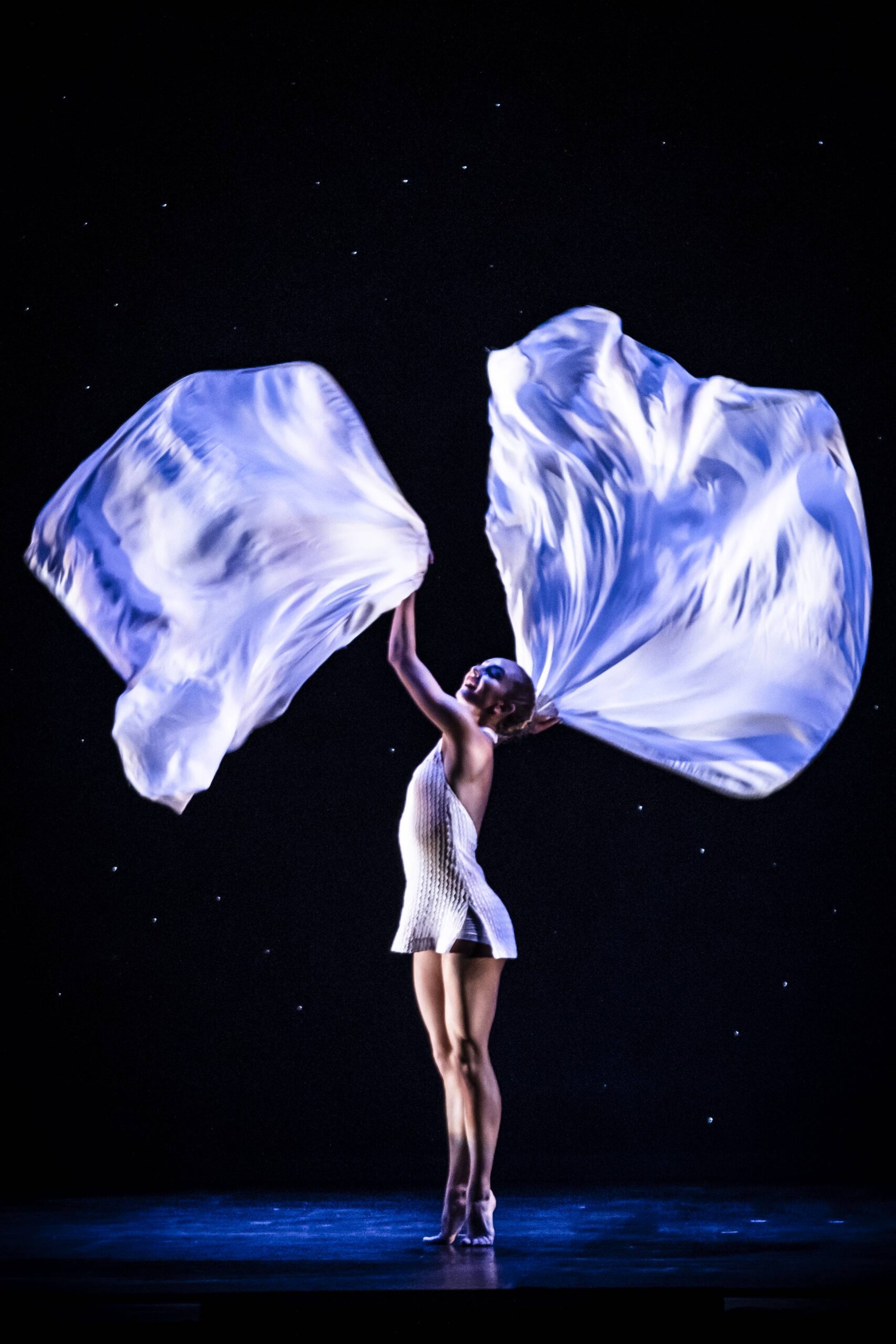 Momix per la prima volta al Teatro Galli di Rimini. In scena il meglio di una storia di danza, illusionismo e sogno che dura da oltre quarant’anni