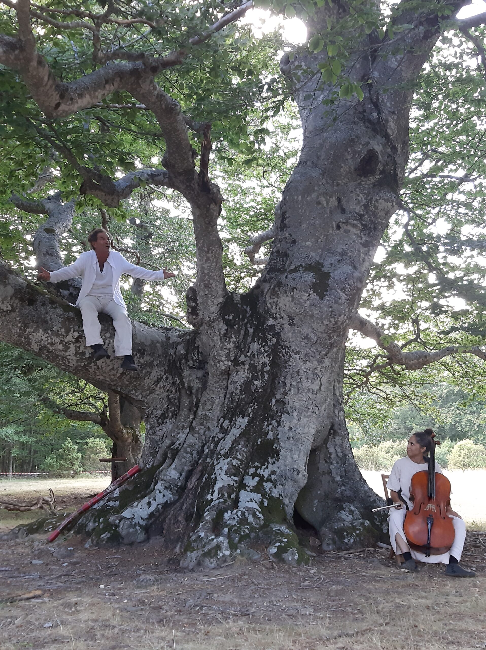 La poesia dei giganti secolari dell’Appennino