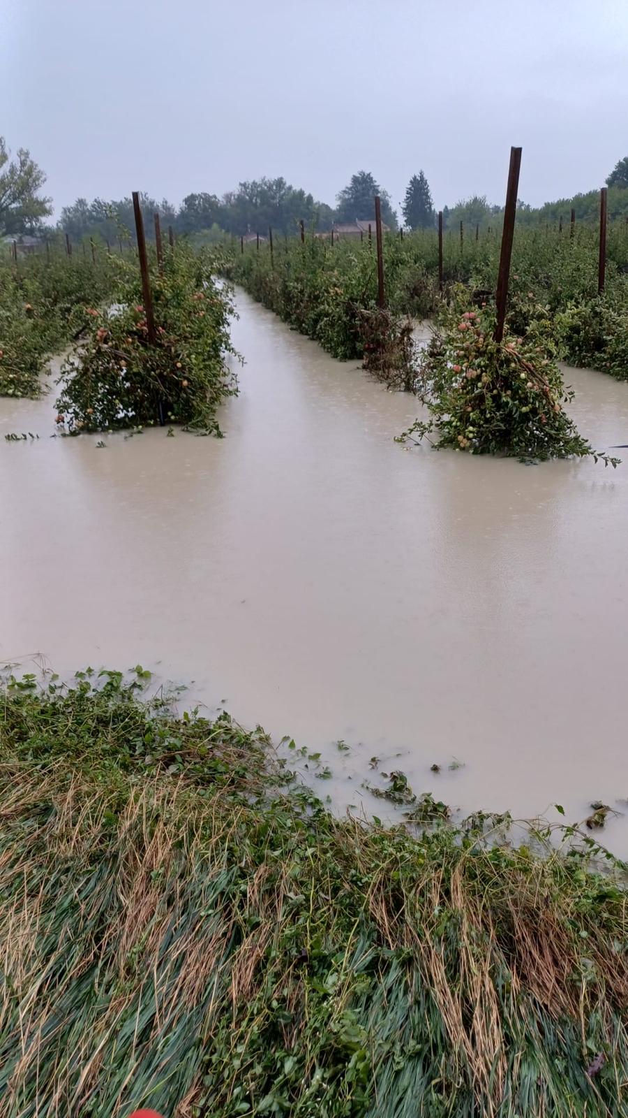 MALTEMPO: COLDIRETTI, FRUIT VALLEY IN GINOCCHIO, 8 AZIENDE SU 10 COLPITE AVEVANO AVUTO DANNI NELL’ALLUVIONE 2023. Emilia-Romagna la regione con la più alta percentuale di popolazione esposta al rischio alluvione