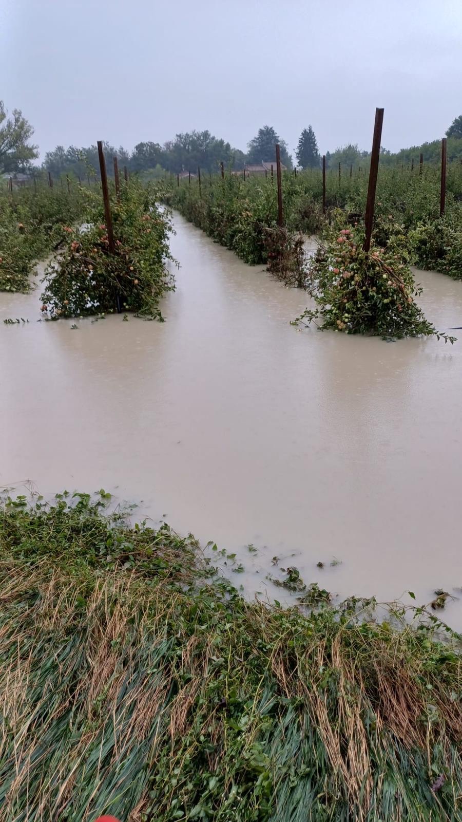 MALTEMPO: COLDIRETTI EMILIA ROMAGNA, SITUAZIONE DRAMMATICA IN ROMAGNA E NEL BOLOGNESE. Frane ed esondazioni nelle zone già colpite dall’alluvione del 2023