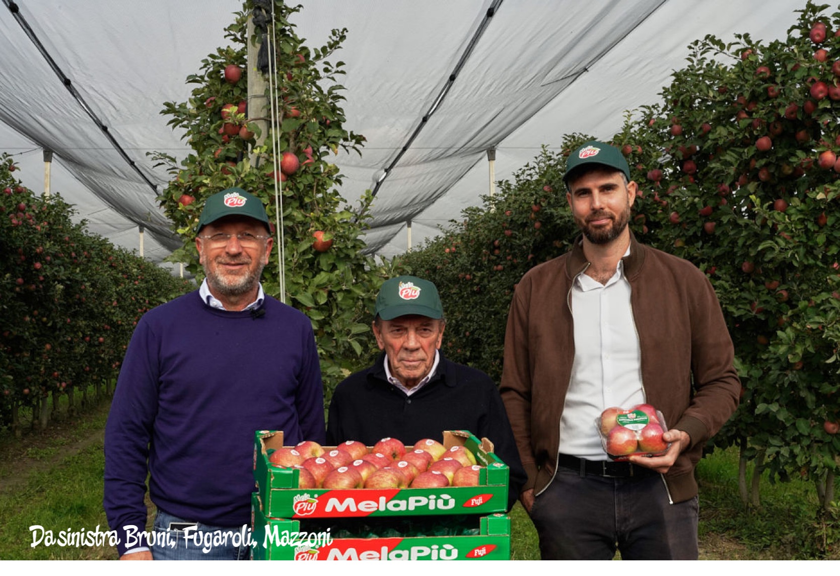 Taglia il traguardo dei 30 anni il Consorzio MelaPiù® sorto per valorizzare la produzione melicola di pianura. Sei i soci, 500 gli ettari, una produzione di 18mila tonnellate. Tra i progetti in cantiere l’ottenimento IGP della varietà Fuji MelaPiù®. Presidente Matteo Mazzoni: “Il prodotto premium di qualità è vincente”